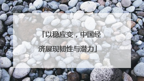 以稳应变，中国经济展现韧性与潜力