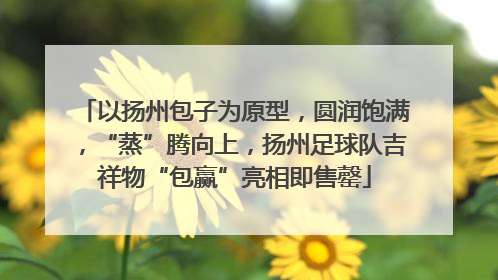 以扬州包子为原型，圆润饱满，“蒸”腾向上，扬州足球队吉祥物“包赢”亮相即售罄