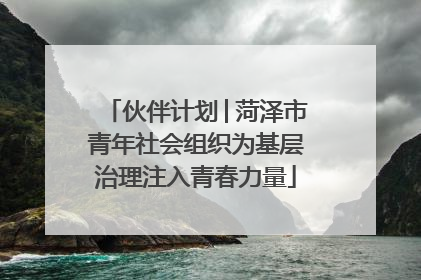 伙伴计划│菏泽市青年社会组织为基层治理注入青春力量