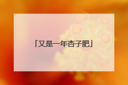 又是一年杏子肥