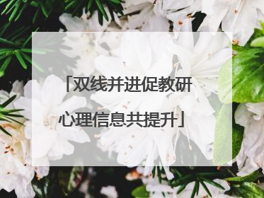 双线并进促教研 心理信息共提升