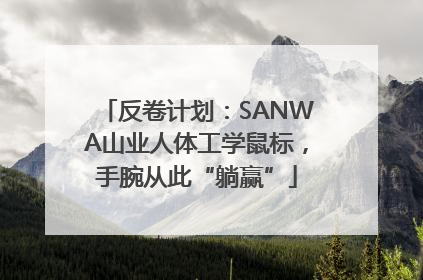反卷计划：SANWA山业人体工学鼠标，手腕从此“躺赢”