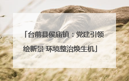 台前县侯庙镇：党建引领绘新景 环境整治焕生机