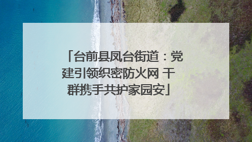台前县凤台街道：党建引领织密防火网 干群携手共护家园安