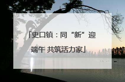 史口镇：同“新”迎端午 共筑活力家