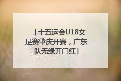 十五运会U18女足赛肇庆开赛，广东队无缘开门红