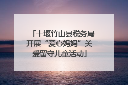 十堰竹山县税务局开展“爱心妈妈”关爱留守儿童活动