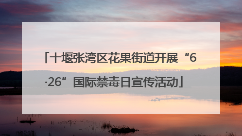 十堰张湾区花果街道开展“6·26”国际禁毒日宣传活动