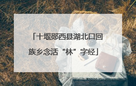 十堰郧西县湖北口回族乡念活“林”字经