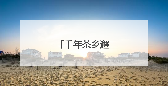 千年茶乡邂逅紫色浪漫