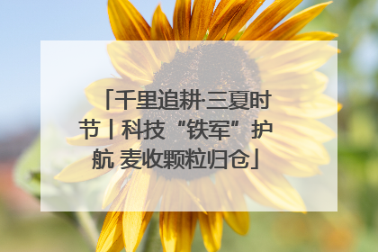 千里追耕·三夏时节丨科技“铁军”护航 麦收颗粒归仓