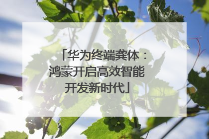 华为终端龚体：鸿蒙开启高效智能开发新时代