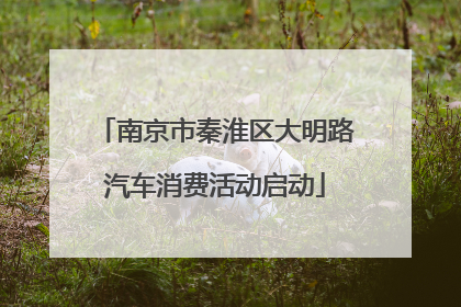 南京市秦淮区大明路汽车消费活动启动
