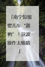 南宁惊现婴儿车“遛鸭”！这波操作太吸睛