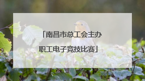 南昌市总工会主办职工电子竞技比赛