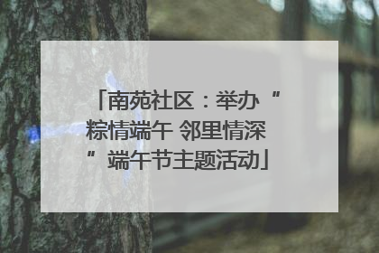 南苑社区：举办“粽情端午 邻里情深”端午节主题活动