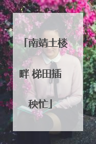南靖土楼畔 梯田插秧忙