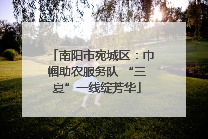 南阳市宛城区：巾帼助农服务队 “三夏”一线绽芳华