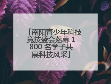 南阳青少年科技竞技盛会落幕 1800 名学子共展科技风采