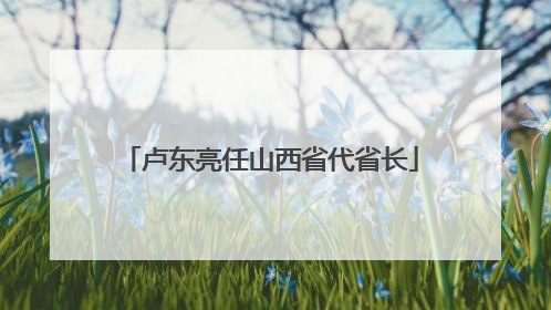 卢东亮任山西省代省长