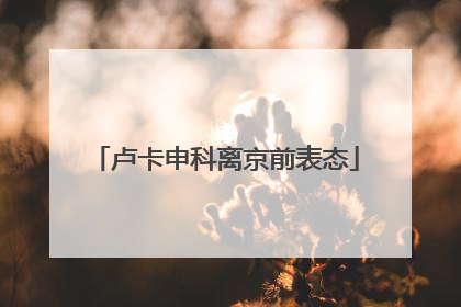 卢卡申科离京前表态