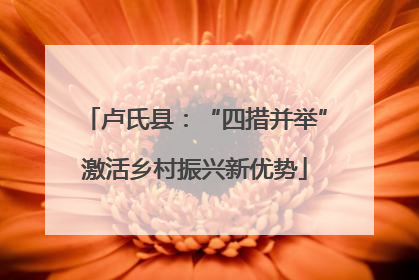 卢氏县：“四措并举”激活乡村振兴新优势