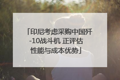 印尼考虑采购中国歼-10战斗机 正评估性能与成本优势
