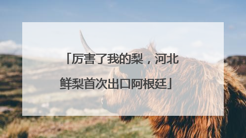 厉害了我的梨，河北鲜梨首次出口阿根廷