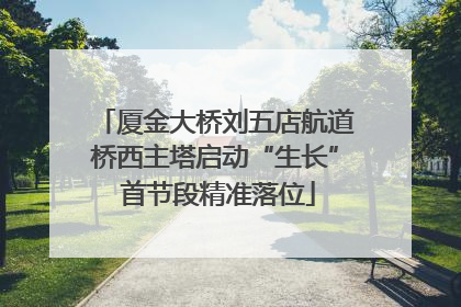 厦金大桥刘五店航道桥西主塔启动“生长” 首节段精准落位