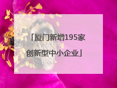 厦门新增195家创新型中小企业