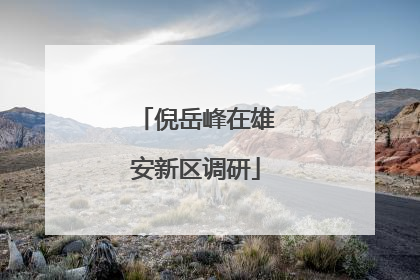 倪岳峰在雄安新区调研