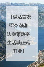 做活首发经济 赣湘边奥莱数字生活城正式开业