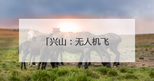兴山：无人机飞防为4800余亩柑橘保驾护航