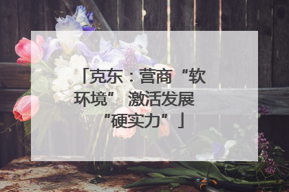 克东：营商“软环境” 激活发展“硬实力”