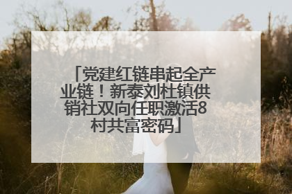 党建红链串起全产业链！新泰刘杜镇供销社双向任职激活8村共富密码