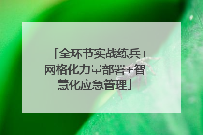 全环节实战练兵+网格化力量部署+智慧化应急管理