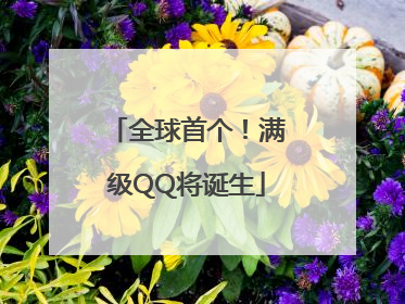 全球首个！满级QQ将诞生