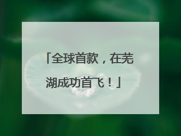 全球首款，在芜湖成功首飞！