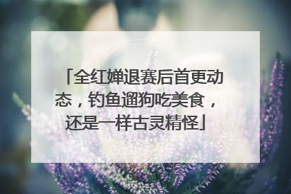 全红婵退赛后首更动态，钓鱼遛狗吃美食，还是一样古灵精怪