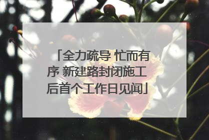 全力疏导 忙而有序 新建路封闭施工后首个工作日见闻