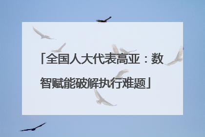 全国人大代表高亚：数智赋能破解执行难题