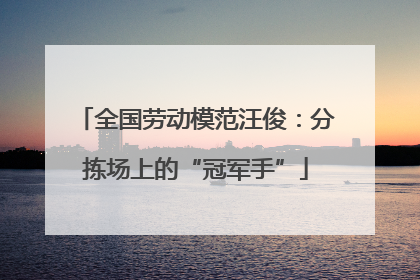 全国劳动模范汪俊：分拣场上的“冠军手”