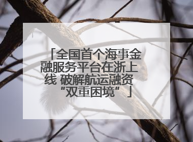 全国首个海事金融服务平台在浙上线 破解航运融资“双重困境”
