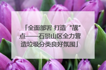 全面部署 打造“靓” 点——石景山区全力营造垃圾分类良好氛围