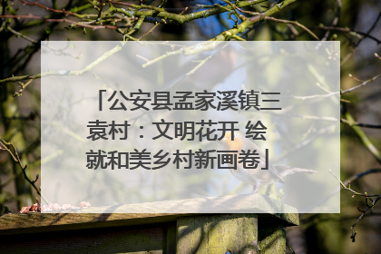 公安县孟家溪镇三袁村：文明花开 绘就和美乡村新画卷