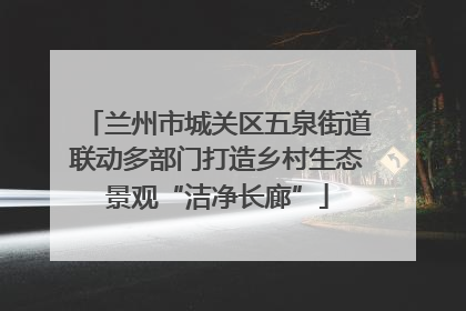 兰州市城关区五泉街道联动多部门打造乡村生态景观“洁净长廊”