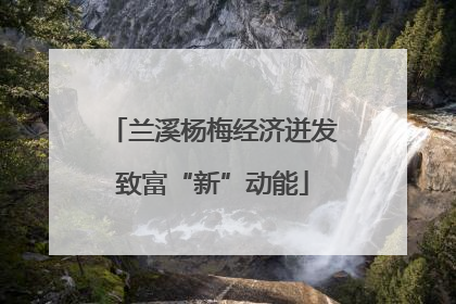 兰溪杨梅经济迸发致富“新”动能