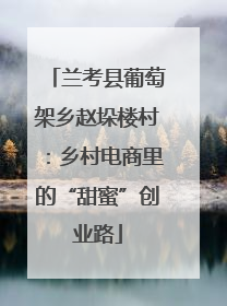 兰考县葡萄架乡赵垛楼村：乡村电商里的“甜蜜”创业路