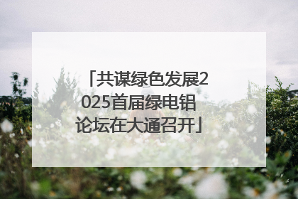 共谋绿色发展2025首届绿电铝论坛在大通召开