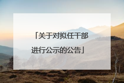 关于对拟任干部进行公示的公告
